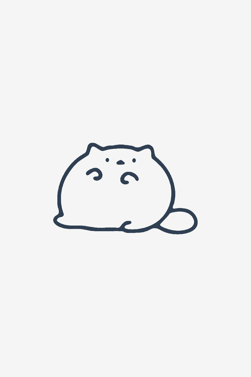 Fluffy mačka