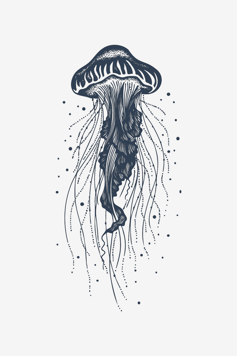 Meduze