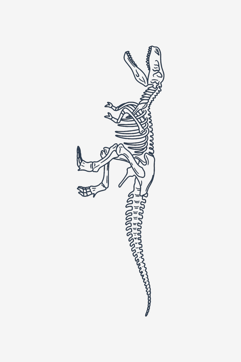 T-Rex okostje