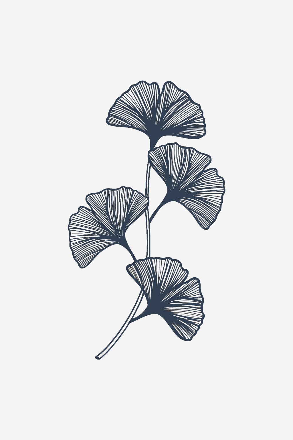 Pahljača življenja