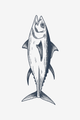 Divja tuna