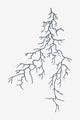 Vpliv