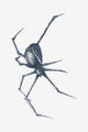 Tkalec